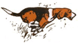 Suomen Beaglejärjestön logo